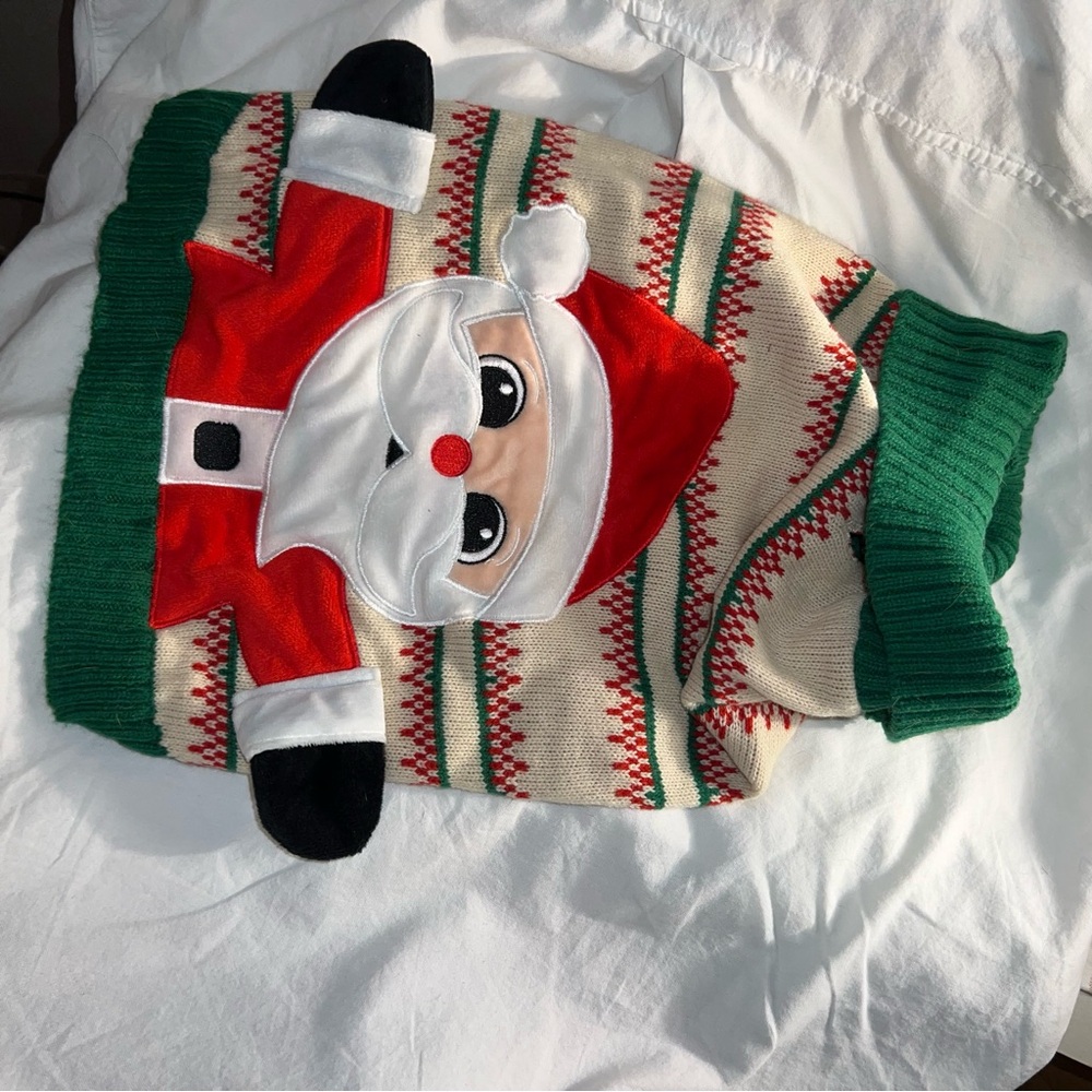 Festive Santa Dog Sweater